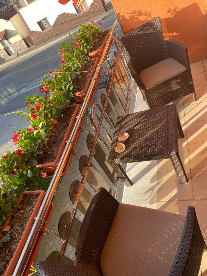 Casa Cu Flori Moisei Hotel Eksteriør billede