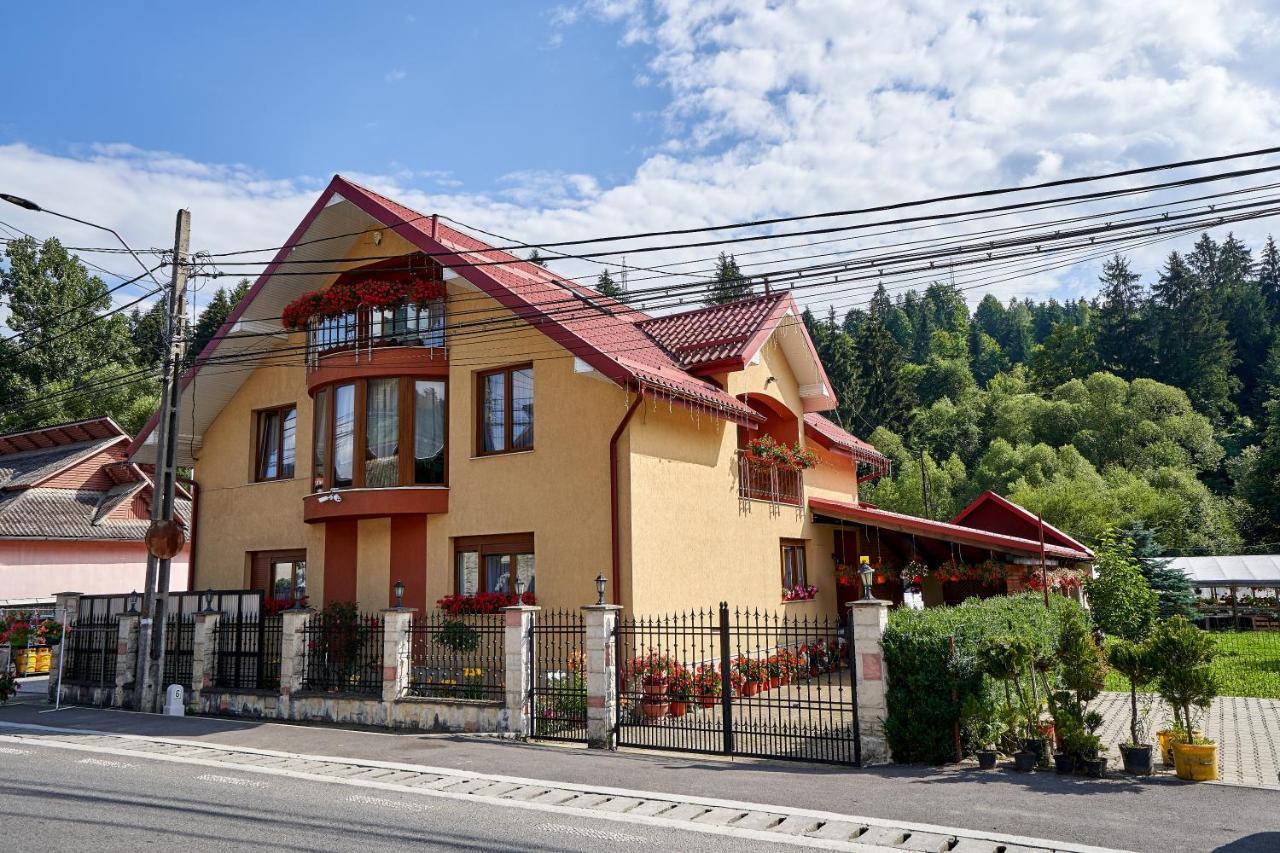 Casa Cu Flori Moisei Hotel Eksteriør billede
