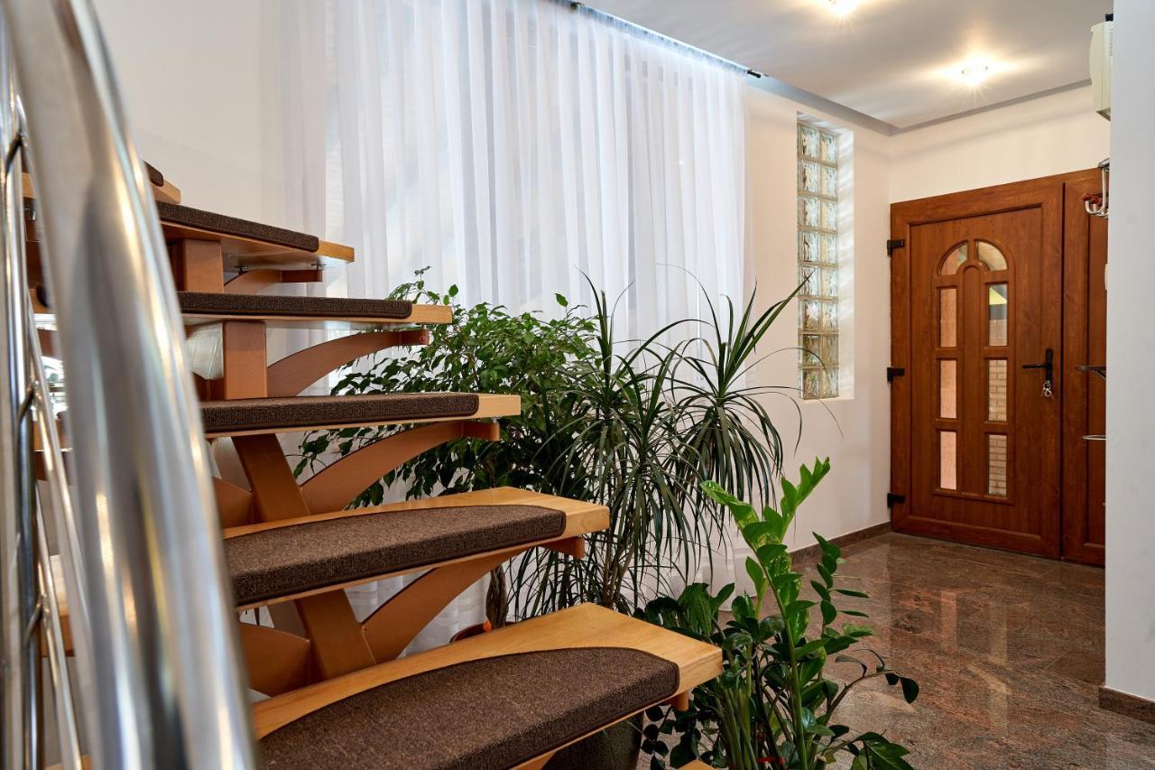 Casa Cu Flori Moisei Hotel Eksteriør billede