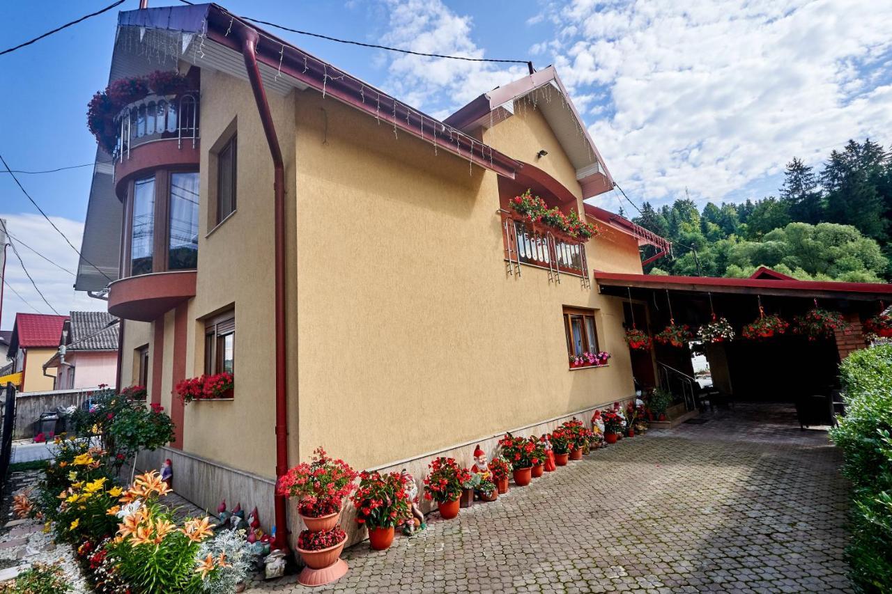Casa Cu Flori Moisei Hotel Eksteriør billede