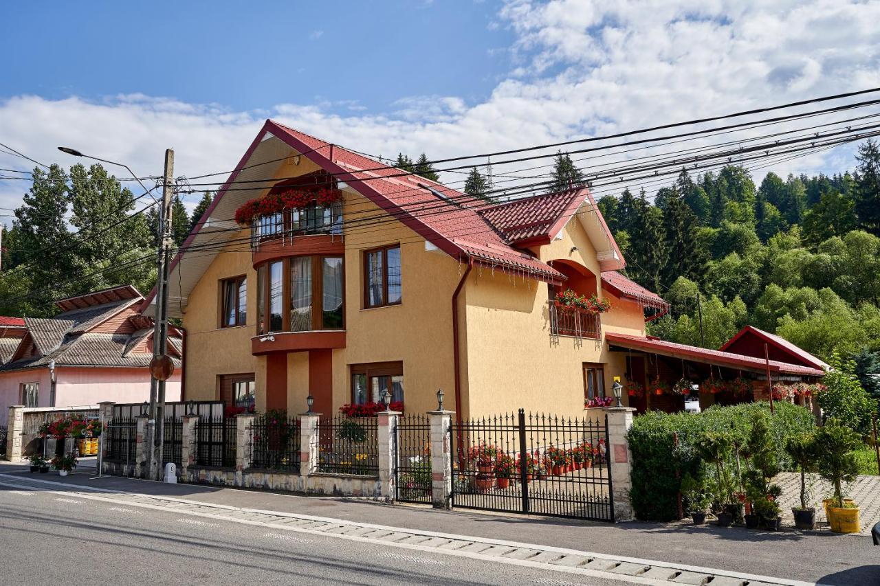 Casa Cu Flori Moisei Hotel Eksteriør billede