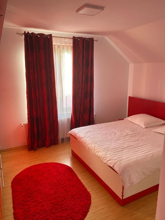 Casa Cu Flori Moisei Hotel Eksteriør billede